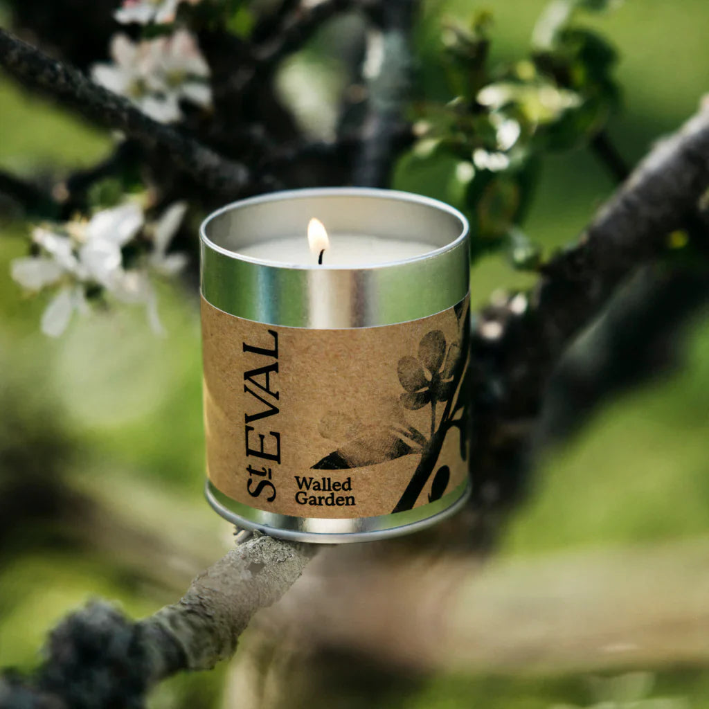Candles & Diffusers