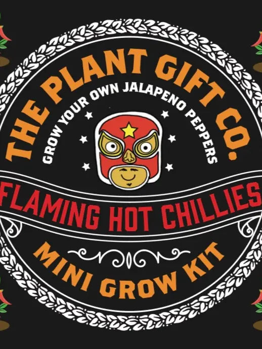 Flaming Hot Chillies. Eco Mini Chilli Grow Kit