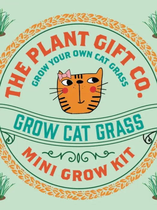 Grow Cat Treats. Cat Lovers Eco Mini-Grow-Kit
