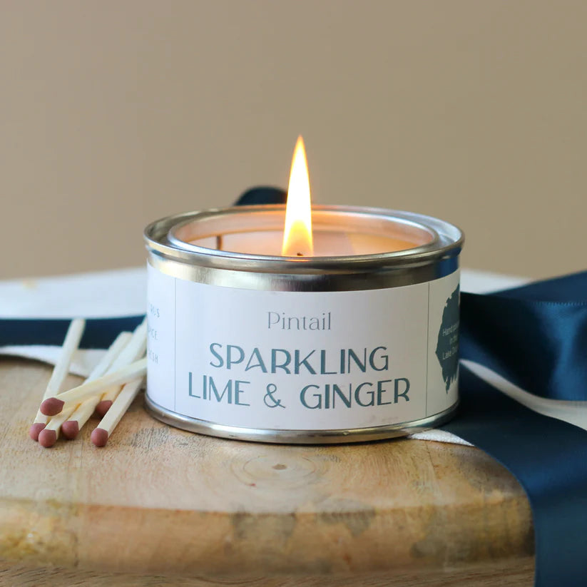 Sparkling Lime & Ginger Paint Pot Candle 89ml