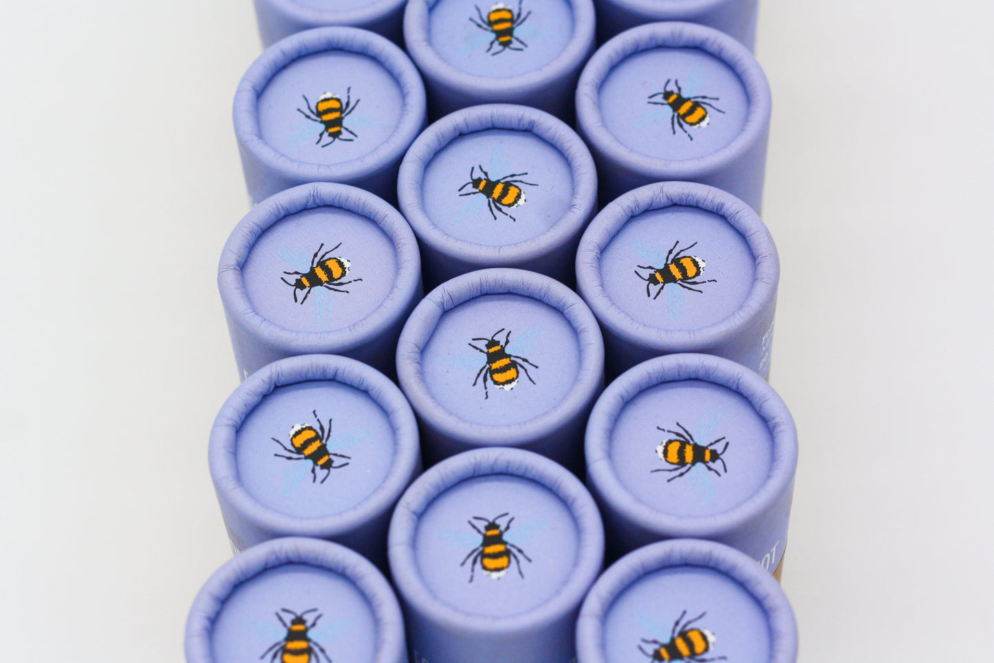 Wildflower Seedball Tube - Forget-Me-Not