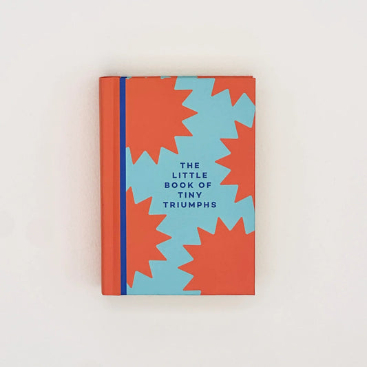The Little Book Of Tiny Triumphs Mini Journal
