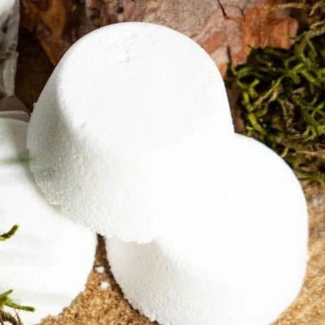 Shower Steamer Lozenges x 2 with Essential Oil Blends 27g